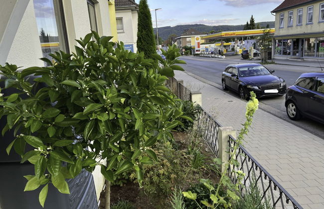 Schillerplatz - Foto 17