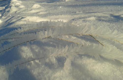 Górska Polana, Stronie Śląskie - Młynowiec - Foto 46