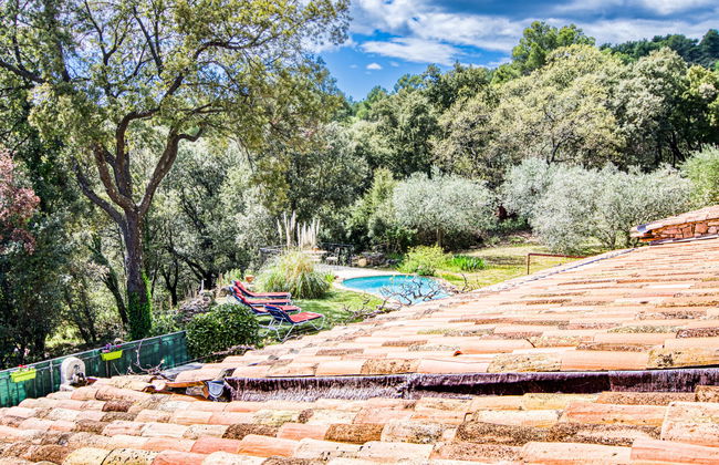 Chez Canard - Foto 41