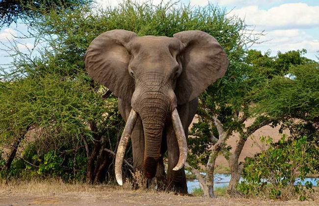 Blyde River Cabin Guesthouse - Foto 40