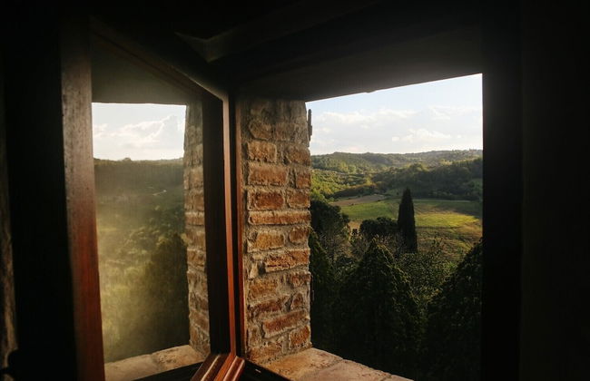 Villa Greta - Photo 49