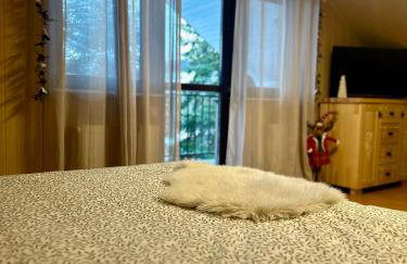 Domek Golasówka - Foto 20