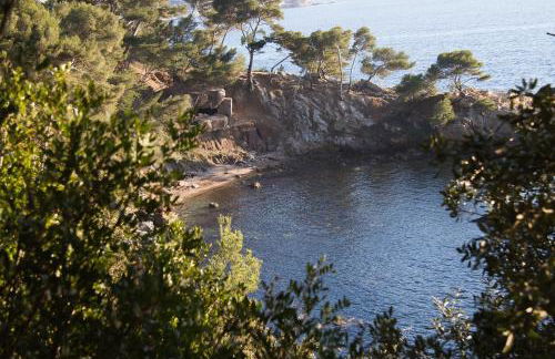 Mer et calme - Foto 18