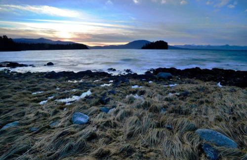 Douglas Island A-frame Cabin in the woods - Foto 30
