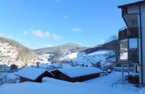 Ferienwohnung Schwarzwaldsteig - Foto 39