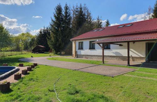 Newland Wójtowicz - Foto 2