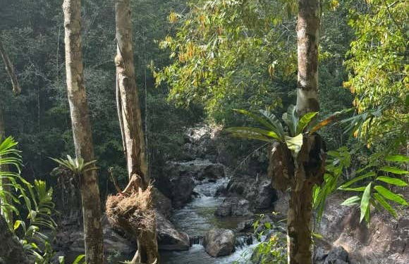 Tour de aventura por Phuket - Foto 7