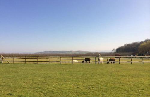 woodpecker cottage at frog trotters cottages - Foto 33