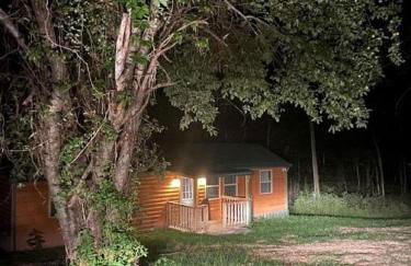 Cozy Cabin with Spa and Picnic Space in Marshall, Arkansas - Foto 6