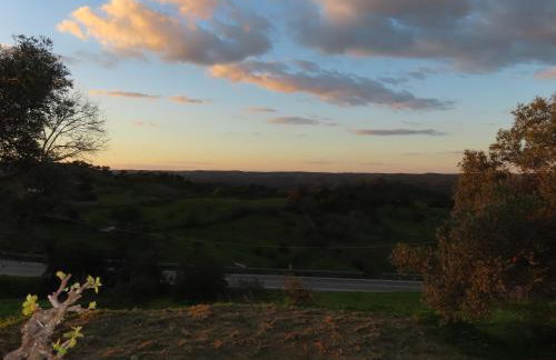 Monte Vilão - Foto 38