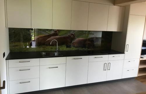 Balgnerhof - Photo 24