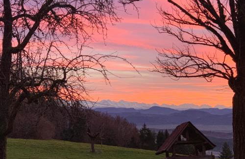 Alpenblick-Steineckhof - Foto 26