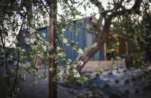 Domki pod Krakowem - Stare Sady - Photo 119