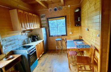 Brzozowy Chillout - Foto 28