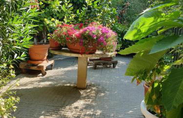 El Giardino delle Rose..... - Foto 22