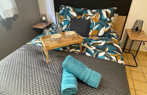 L'Aiglon Studio cocon au coeur de Gap - Foto 8