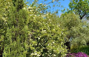 Domaine Victoria - Foto 57