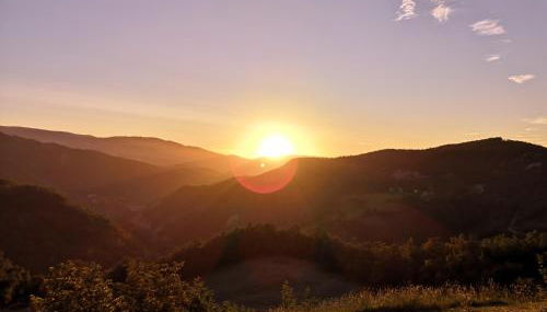 Bosco Stellato - Foto 3