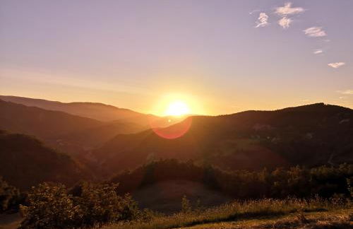 Bosco Stellato - Foto 15