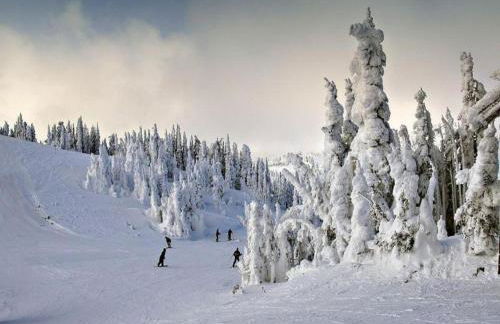 Cozy Apartment in Ruhmannsfelden With Swimming Pool - Foto 102