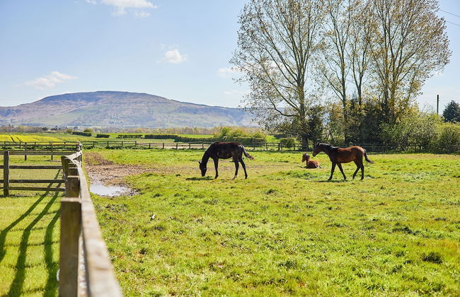 Host Stay Finch House - Foto 47