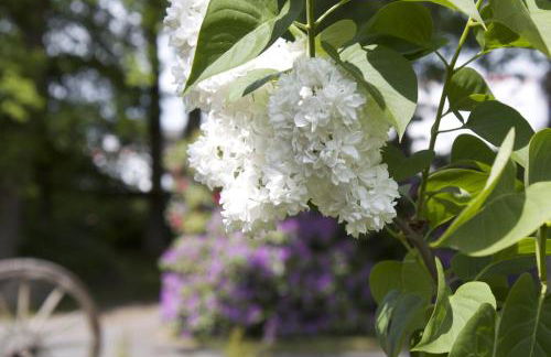 Ostehof Weertzen - Foto 32