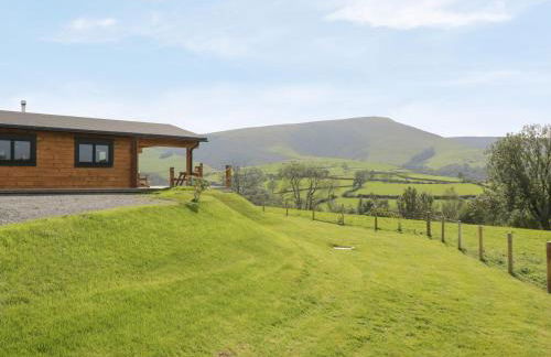 Bryn Eiddon Log Cabin - Photo 34