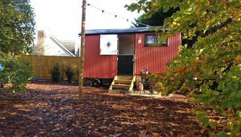 Forest Heath Shepherd's Huts - Foto 4