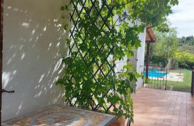 Poggio San Giacomo - Foto 44