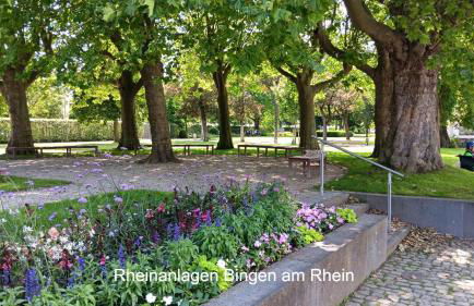 Ferienwohnung Aspisheim - Foto 15