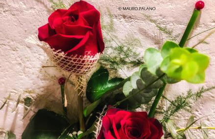 Tenuta Kyrios Agriresort Restaurant & Pool - Foto 25