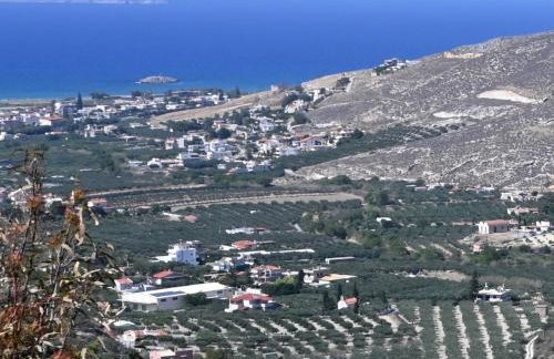 Calma Home - Foto 15