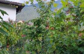 Appartment Lodged Mamma Maria - Foto 11