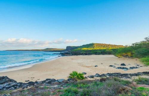 Oceanview Moloka'i Studio - Foto 15