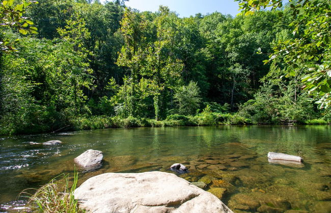 Mountain Haven Dragon's Nest Cabin - Photo 26