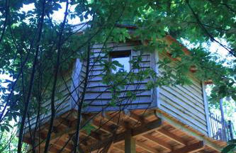 Ô bois dormant - Foto 75