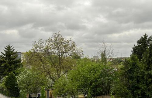 Prestige 1 - Foto 37