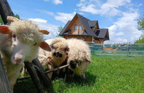 Tatra West Farm - Foto 51