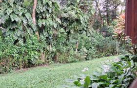 Casa de madeira A 6km de Guaramiranga - Foto 12