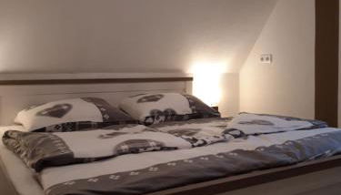 Ferienapartment-Monteurwohnung-Muldestausee - Foto 4