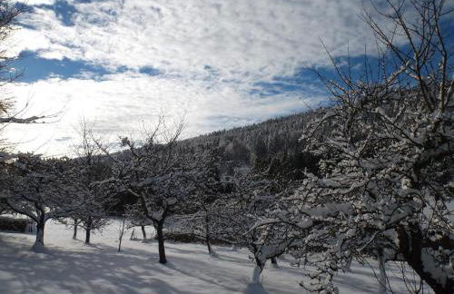 Ferienwohnung Lindenhof - Foto 41