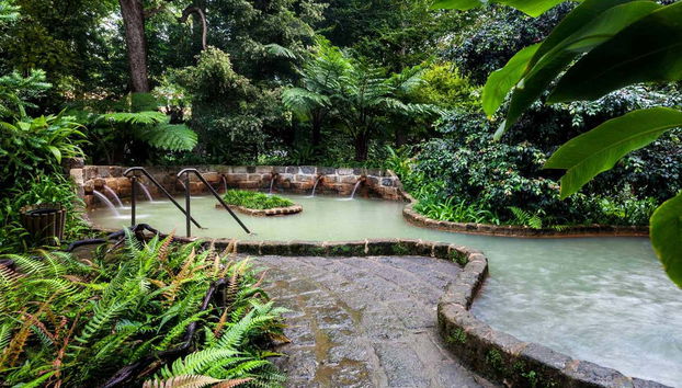 Furnas Valley, Botanical Gardens & Hot Springs Tour - Foto 2