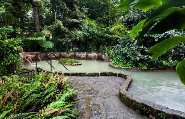 Valle de Furnas, jardín botánico y aguas termales - Foto 1