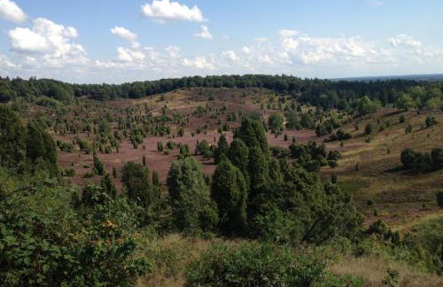 Ferienwohnungen Heideidylle - Foto 15