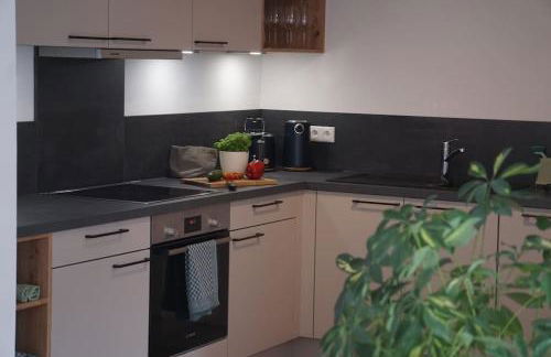 Ferienwohnung Ott - 4-Sterne - Foto 6