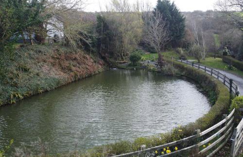 Beautiful Barn Conversion in West Wales - Foto 14