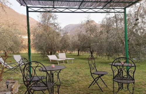 Agriturismo Conca Sandra - Farm Stay on Lake Como - Foto 4