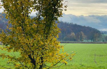 FeWo Uettingen Mitte - Foto 14