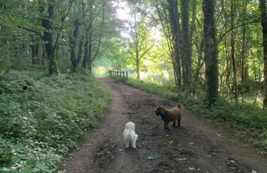 Brittany Countryside Retreat 3 Bedrooms Sleeps 6 Pet Friendly Heated Swimming Pool Free Wifi - Foto 44