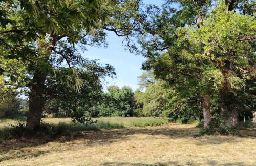 La Glane at Le Maingaud - Foto 35